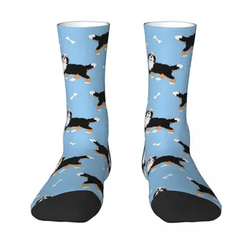 Милый трехцветный Бернедудл - детские носки на голубом фоне, зимние носки, носки, зимние носки для девочек, мужские