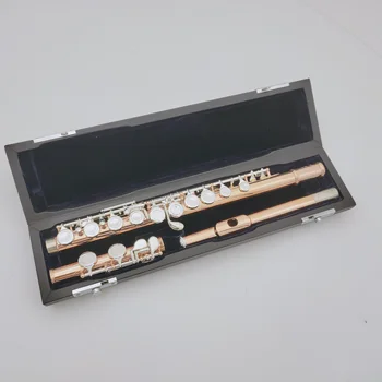 Флейта с закрытой ячейкой, разделенная на 16 клавишных инструментов, флейта с футляром