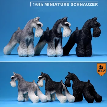 1: 6Mr.Z, материал смолы, ПВХ, миниатюрная имитационная модель собаки-шнауцера, игрушечные аксессуары, украшение для рабочего стола, подарочная коллекция